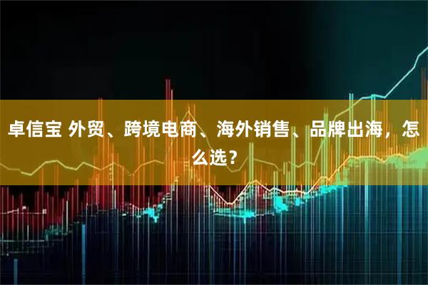 卓信宝 外贸、跨境电商、海外销售、品牌出海，怎么选？
