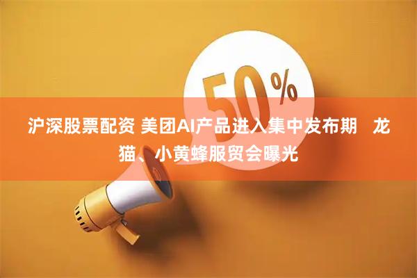 沪深股票配资 美团AI产品进入集中发布期   龙猫、小黄蜂服贸会曝光