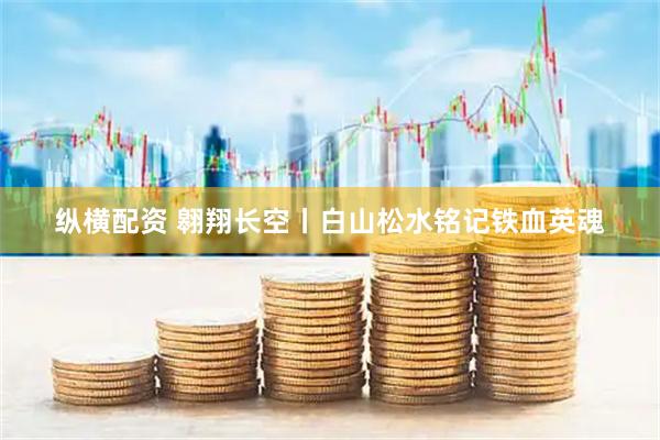 纵横配资 翱翔长空丨白山松水铭记铁血英魂