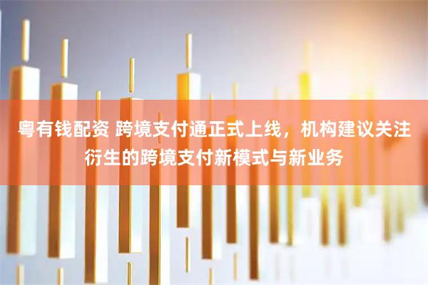 粤有钱配资 跨境支付通正式上线，机构建议关注衍生的跨境支付新模式与新业务