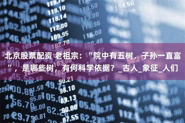 北京股票配资 老祖宗：“院中有五树，子孙一直富”，是哪些树，有何科学依据？_古人_象征_人们